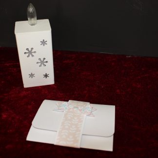 Mini album
